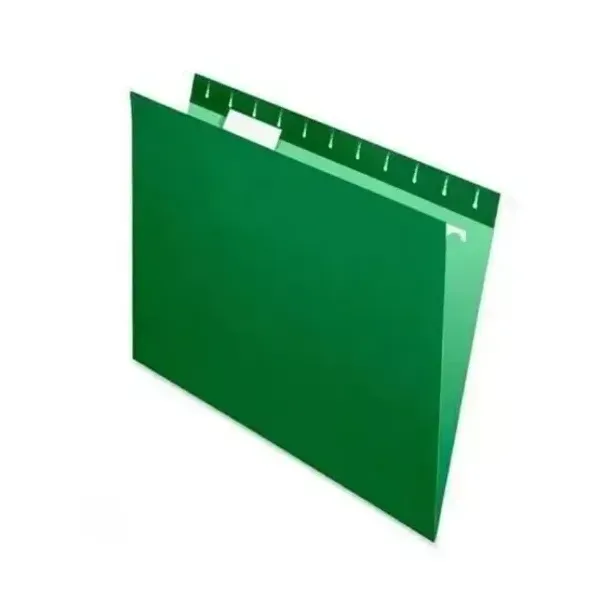 Carpeta colgante nepaco cartulina con visor verde cj.x 25 unid.