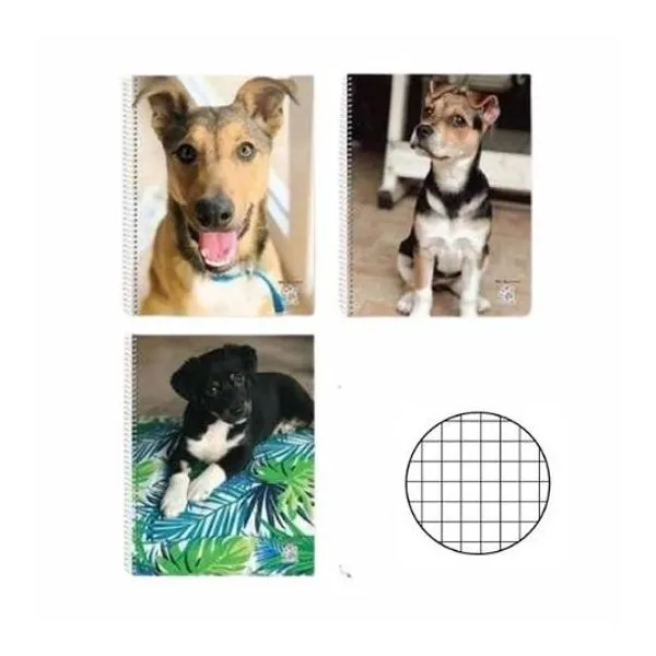 Cuaderno 21x29.7 cuadriculado 80h t/f con espiral join us mis ap. 919223