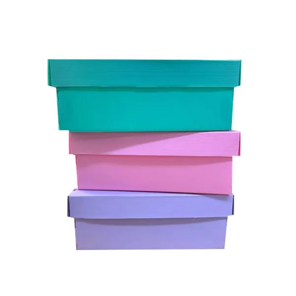 Caja plástico microc.plana n.° 806 con tapa para zapatos amarilla