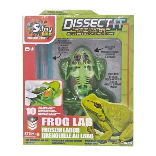 Dissectit - disecar la rana con refill - en caja de regalo