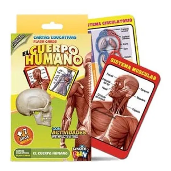 Cl-116 cartas edu. el cuerpo humano