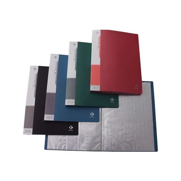 Carpeta oficio 10 folios the pel