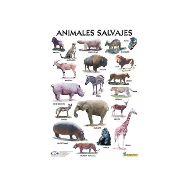 Laminas m.c.50 x70 lam. sin f sin var. animales salvajes