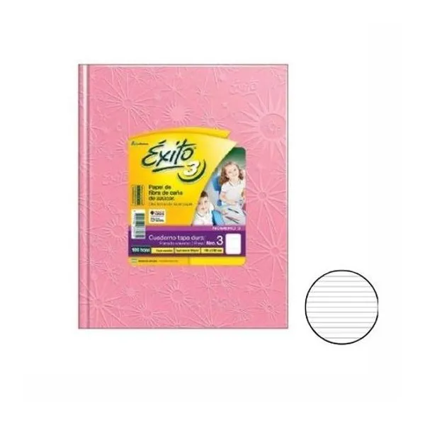 Cuaderno 19x24 rayado t/d universo rosa 100h Éxito