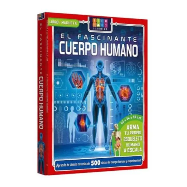 Fascinante cuerpo humano: estuche de cartón/21,5 cm x28 cm/maqueta para armar