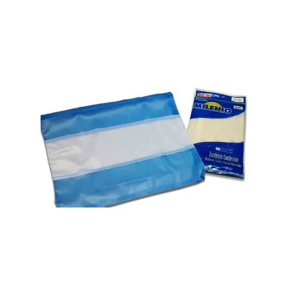 Bandera argentina flameo sin sol 90x144 cm milenio