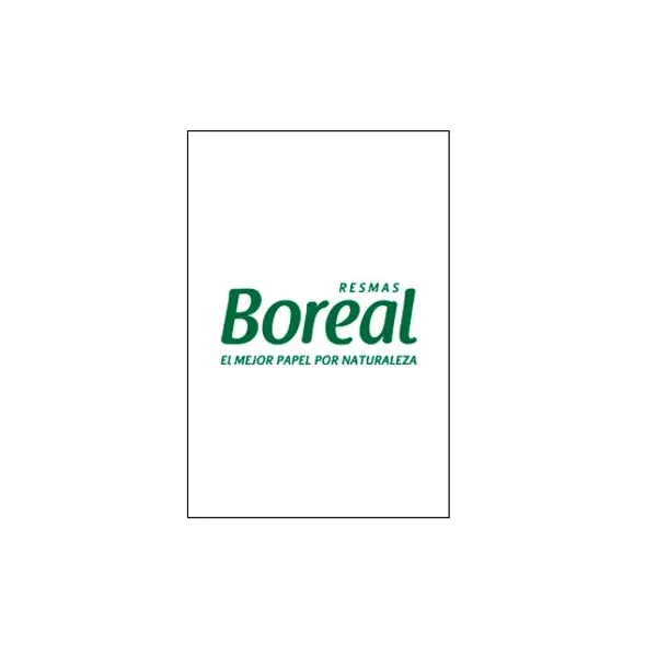 Resma papel boreal encapado gloss 170 grstamaño a4 x500 hojas