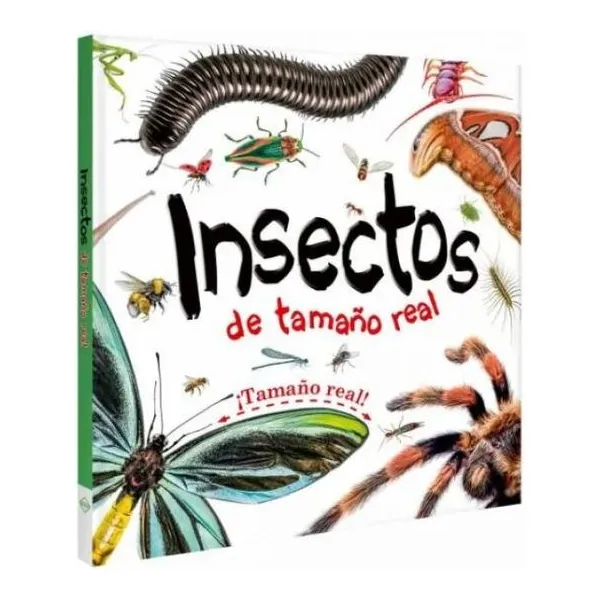 Mi libro insectos tamaño real 25 25 cm