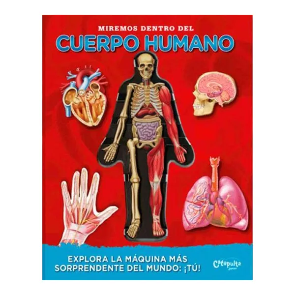 Miremos dentro del cuerpo humano