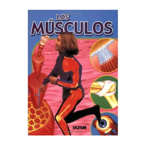 Los músculos - cuerpo y salud