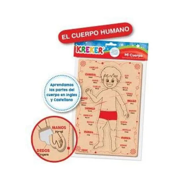 El cuerpo humano de goma eva con serigrafia y troquelados para aprender las part