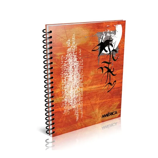 Cuaderno espiral a4 América t/flexible 80 hs.cuadro