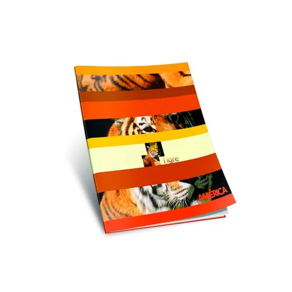 Cuaderno tapa flexible América x24 hs.liso