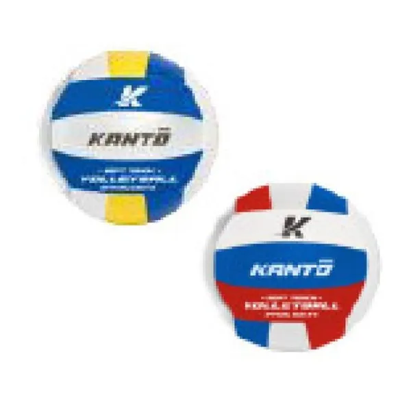 Pelota de volley n.° 5 - 5 modelos
