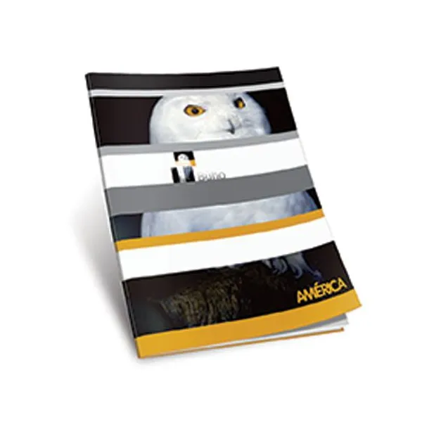 Cuaderno tapa flexible América x86 hs.ray.