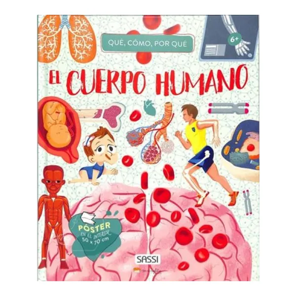 Cuerpo humano
