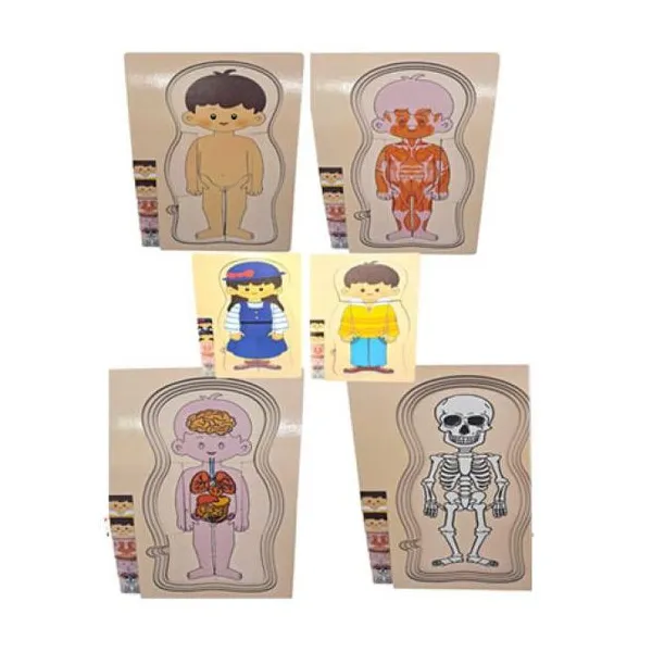 Puzzle cuerpo humano fdkw686 de madera