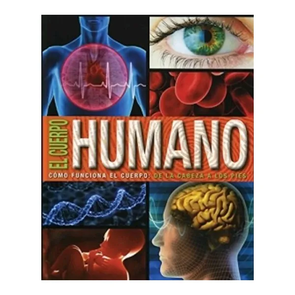 Sol 90- el cuerpo humano como funciona