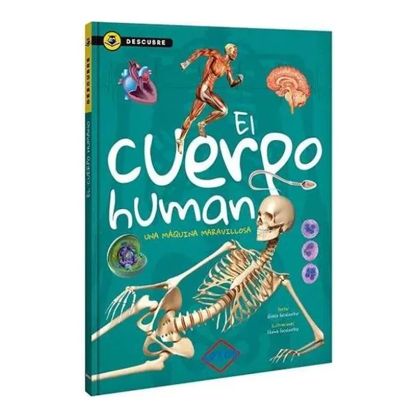 Descubre cuerpo humano 33 24 cm