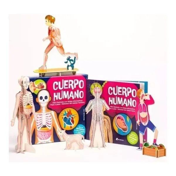 Kit de construccion- cuerpo humano