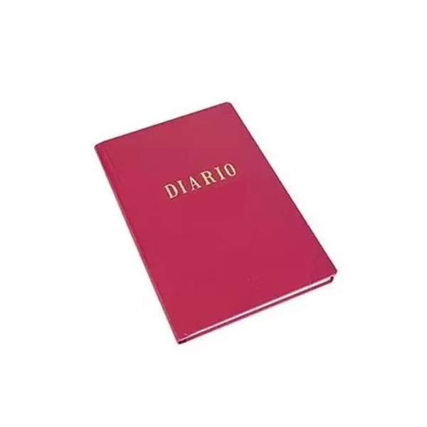 Libro rab diario clochette 2 col.2 manos