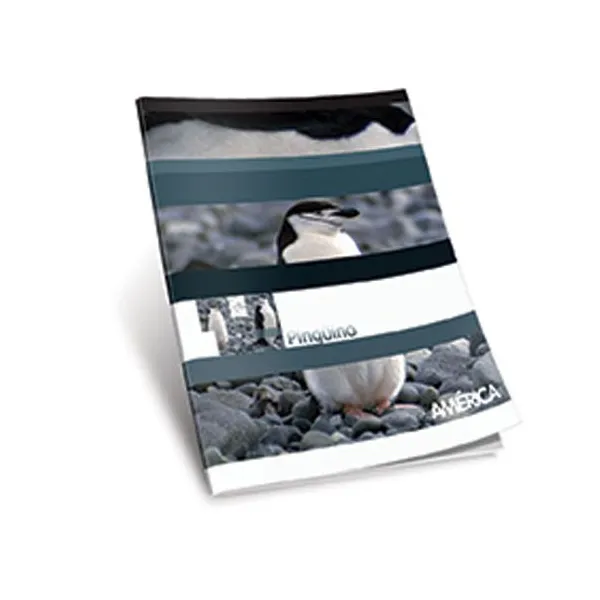Cuaderno tapa flexible América x24 hs.cuaderno