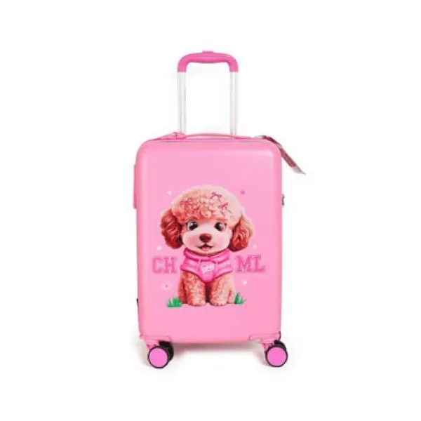 Valija carry-on 20