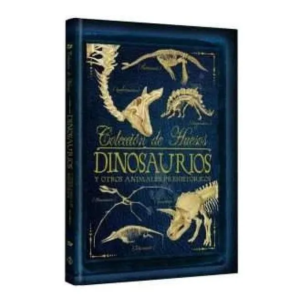 Colección de huesos dinosaurios