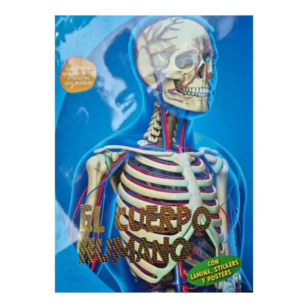 El cuerpo humano