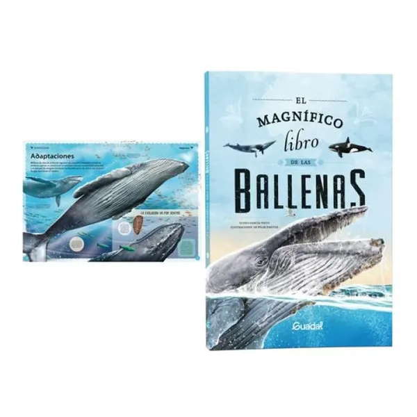El magnífico libro de las ballenas 42 30 cm