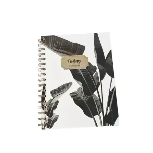 Cuaderno espiral a5 imaginer golden art t/dura 96 hs.raya