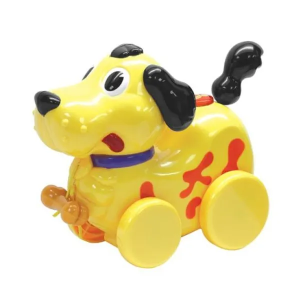 Musical doggie