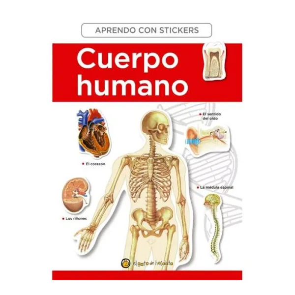 El cuerpo humano