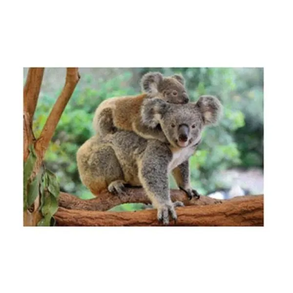 Puzzle 1000 pzas koala con su bebé (100-300)