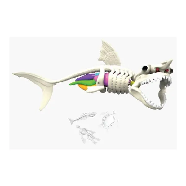 Dissect it- disecar al tiburon con refill - en caja de regalo