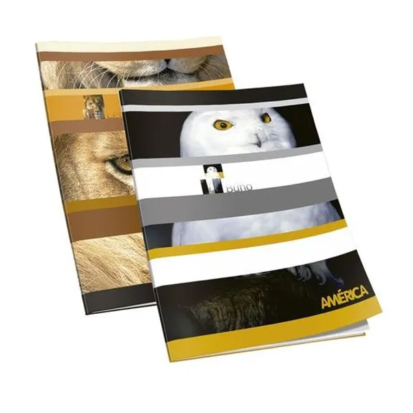 Cuaderno 16x21 cm liso tapa flexible fantasia 48 hojas modelos surtidos América