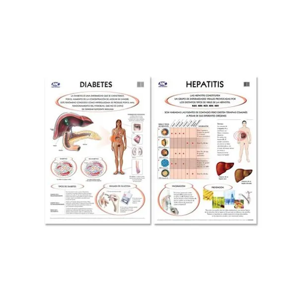 Laminas m.c.50 x70 lam. d/f con var. diabetes-hepatitis