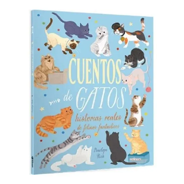 Historias reales de felinos fantasticos