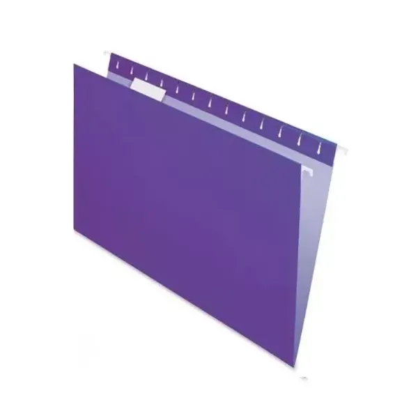 Carpeta colgante nepaco cartulina con visor violeta cj.x 25 unid.