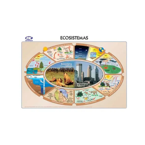Laminas m.c.n.° 5 ciencias 24 x35 cmx 10 unid