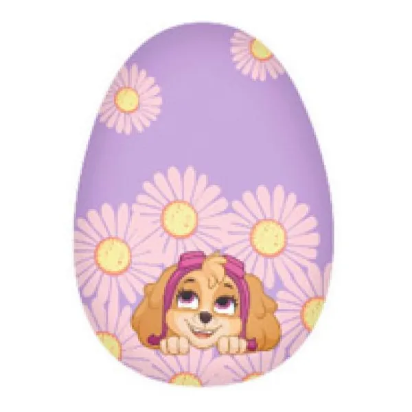 Cepillo Paw Patrol