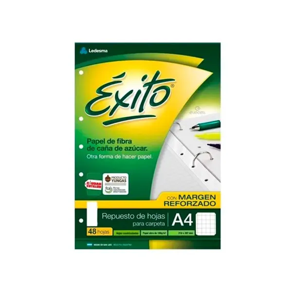 Repuesto Éxito tamaño a4 x48 hs.cuadro