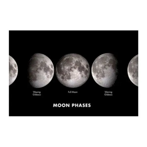 Puzzle 950 pzas fases de la luna ( 95-039)