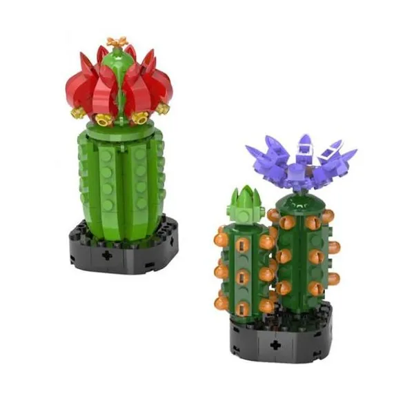 Set bloques cactus 2 diseños 102/129 pcs en display box