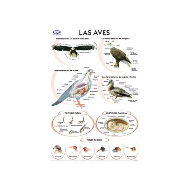 Laminas m.c.n.° 5 zoologia 24 x35 cmx 10 unid.