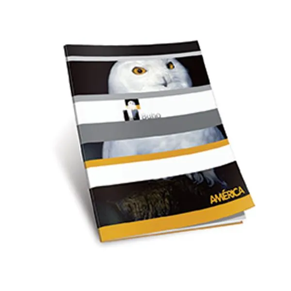 Cuaderno tapa flexible América x24 hs.ray.