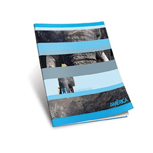 Cuaderno tapa flexible América x48 hj.liso