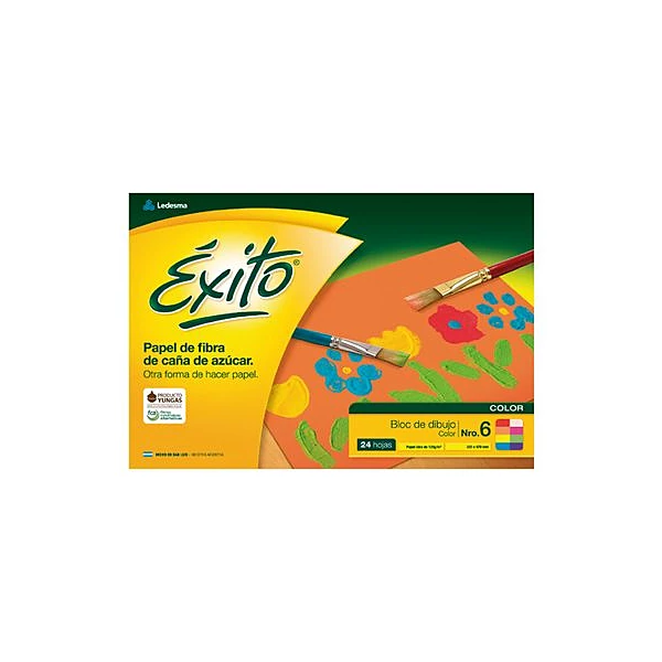 Block de dibujo doble oficio n.° 6 color 24h exito